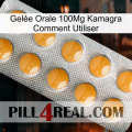 Gelée Orale 100Mg Kamagra Comment Utiliser levitra1